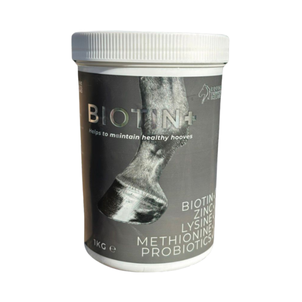 BİOTİN 1 KG